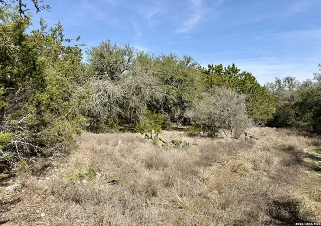 Photo 4 of Land for sale at 310 Spring, Spring Branch, TX 78070 | MLS# 1943597 | Listing updated on 2026-03-06
