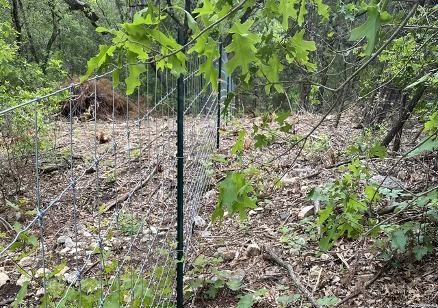 Photo 3 of Land for sale at 18553 & 18551 Bandera Rd, Helotes, TX 78023 | MLS# 1943614 | Listing updated on 2026-09-04