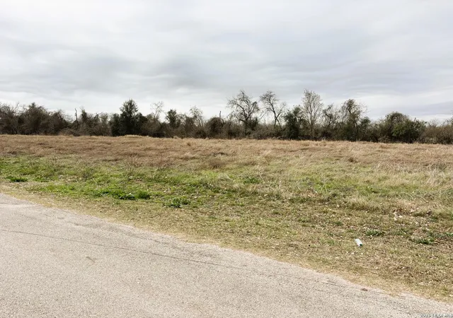 18th image of 225 River, Seguin, TX 78155 | MLS# 1943630