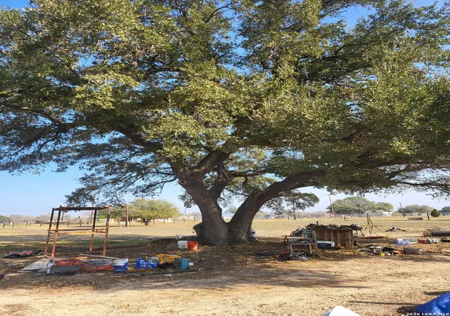 3rd image of 24551 Open Range Rd, San Antonio, TX 78264 | MLS# 1943901