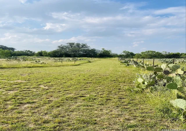 Homes for sale in Devine, TX | 869 & 873 County Road 773, Devine, TX 78016 | MLS# 1943939