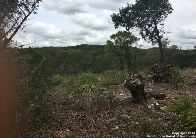 3rd image of Lot 195 County Road 2801 E, Mico, TX 78056 | MLS# 1943947