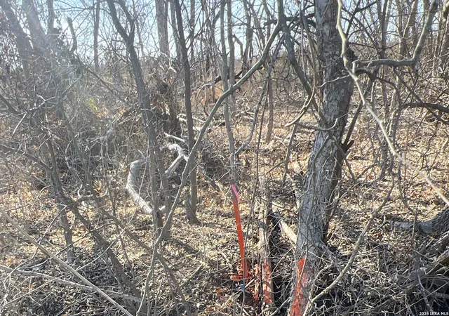 Photo 3 of Land for sale at Tbd Ess Rd, Atascosa, TX 78002 | MLS# 1944069 | Listing updated on 2026-03-08