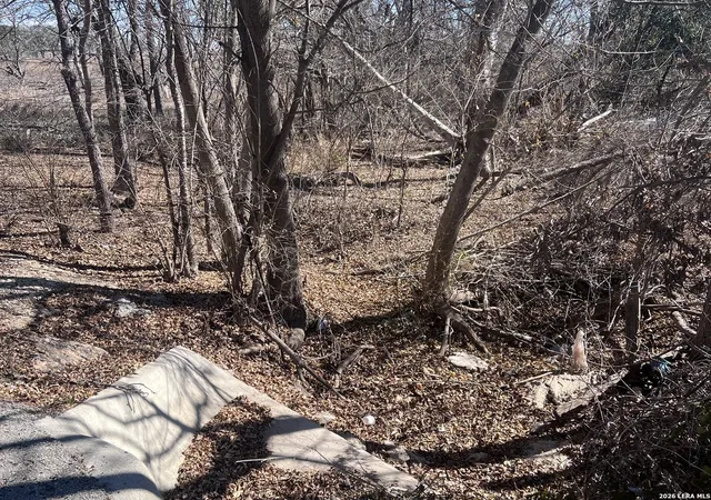 Land for sale at Tbd Ess Rd, Atascosa, TX 78002 | MLS# 1944069