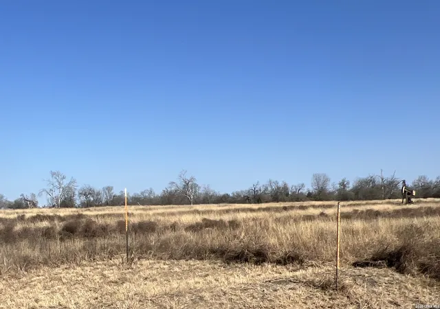 Photo 4 of Land for sale at Tbd Ess Rd, Atascosa, TX 78002 | MLS# 1944069 | Listing updated on 2026-03-08