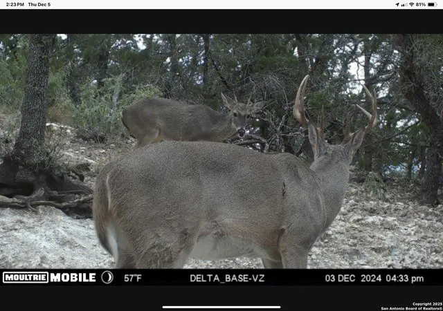 4th image of 424 Sierra Vista, Tarpley, TX 78883 | MLS# 1944074