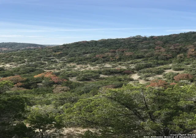 1st image of 424 Sierra Vista, Tarpley, TX 78883 | MLS# 1944074