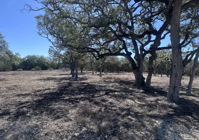 Photo 3 of Sale Pending at 909 Dawns Vw, Spring Branch, TX 78070 | MLS# 1944296 | Listing updated on 2026-08-19