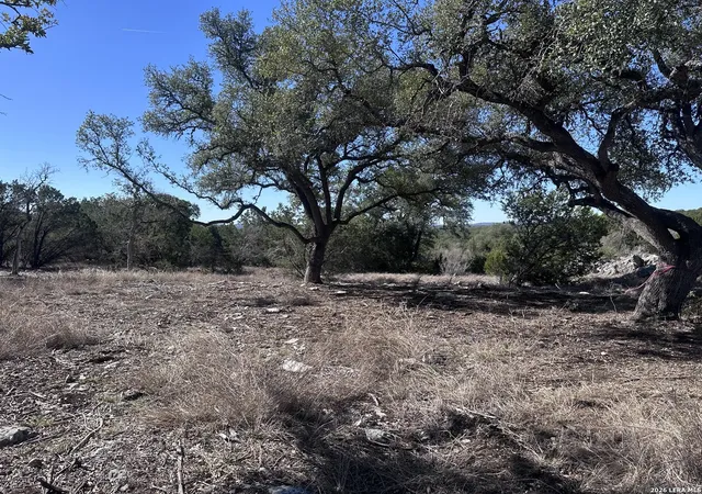 Photo 4 of Sale Pending at 909 Dawns Vw, Spring Branch, TX 78070 | MLS# 1944296 | Listing updated on 2026-08-19