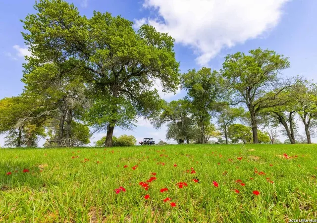 Photo 3 of Land for sale at Tbd 73 Acres County Rd 442, Harwood, TX 78632 | MLS# 1944643 | Listing updated on 2026-04-03