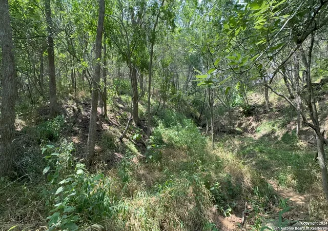 4th image of 0 Kaukonahua Ln - Lot 649, Bastrop, TX 78602 | MLS# 1944827