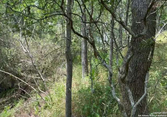 5th image of 0 Kaukonahua Ln - Lot 650, Bastrop, TX 78602 | MLS# 1944833