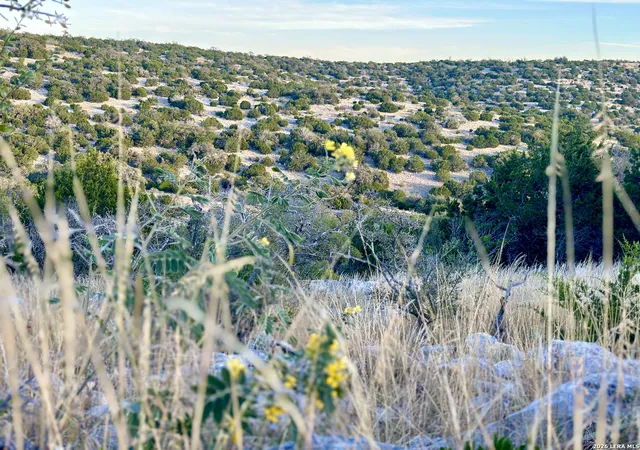 Photo 1 of Sale Pending at 1213 Sd 42200, Rocksprings, TX 78880 | MLS# 1944856 | Listing updated on 2026-08-28
