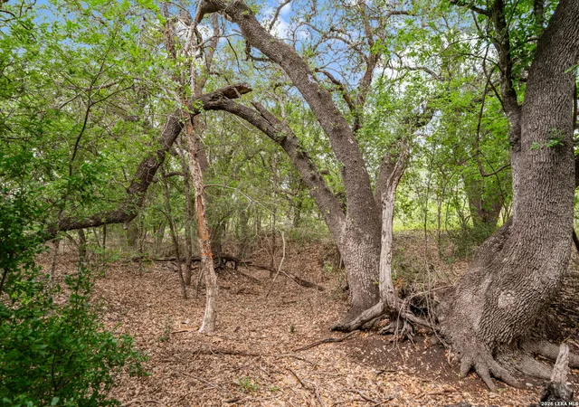 8th image of 0 River Bluff, Castroville, TX 78009 | MLS# 1944890