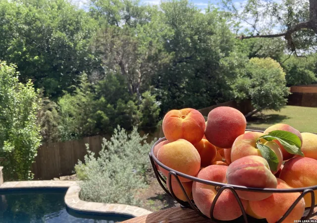 Photo 4 of Sale Pending at 25514 River Ledge, San Antonio, TX 78255 | MLS# 1945309 | Listing updated on 2026-03-27