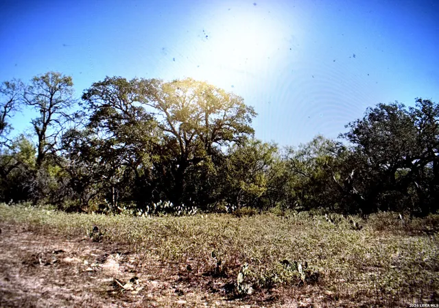 3rd image of 5030 Fm 2504, Poteet, TX 78065 | MLS# 1945585