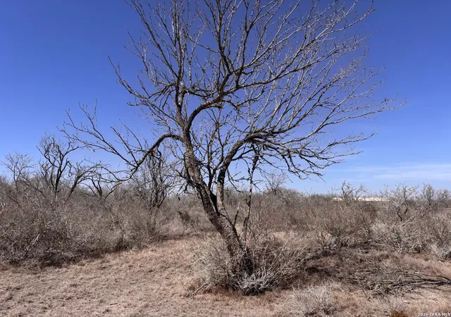 2nd image of 000 Hwy 72, Three Rivers, TX 78071 | MLS# 1945702