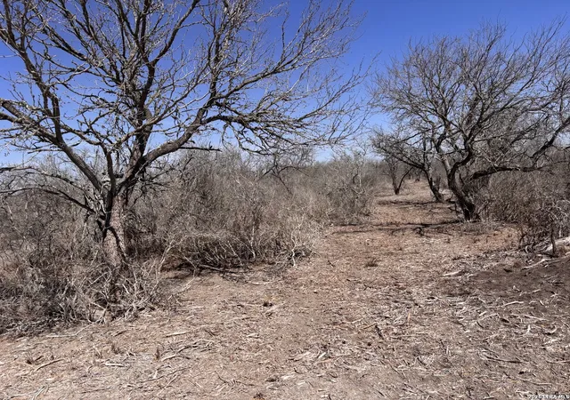 14th image of 0000 Hwy 72, Three Rivers, TX 78071 | MLS# 1945706