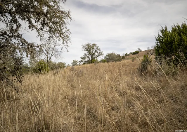 16th image of 100 Stieler Valley, Comfort, TX 78013 | MLS# 1946192