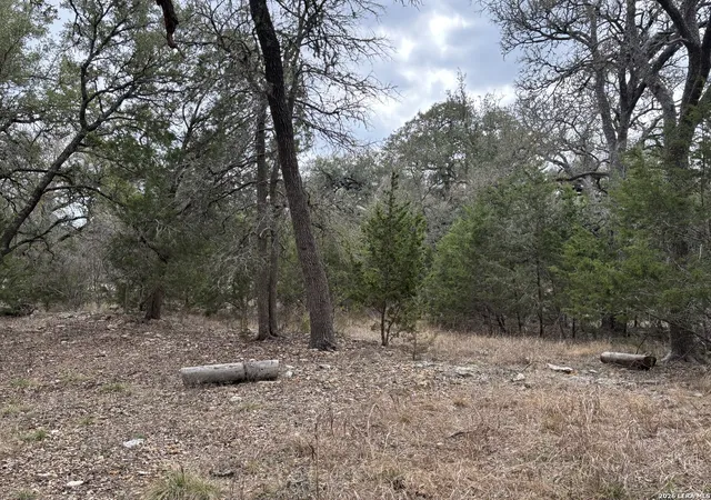 33rd image of 30685 Rice, Bulverde, TX 78163 | MLS# 1946220