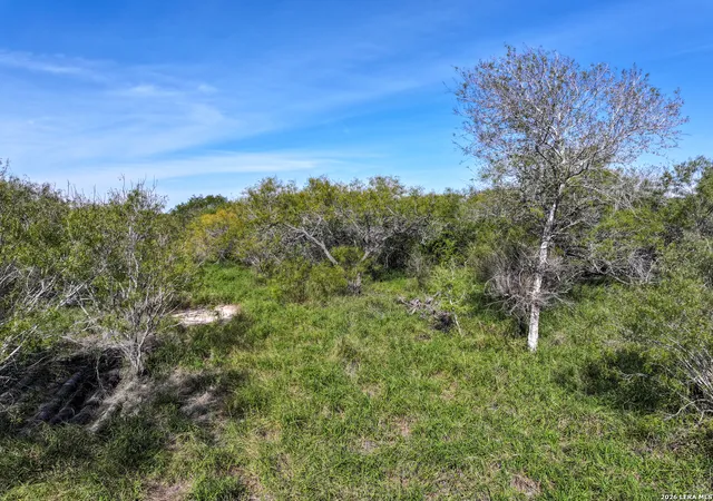 Photo 14 of Land for sale at 0 Fm 666 At County Road 1168, Mathis, TX 78368 | MLS# 1946471 | Listing updated on 2026-03-16