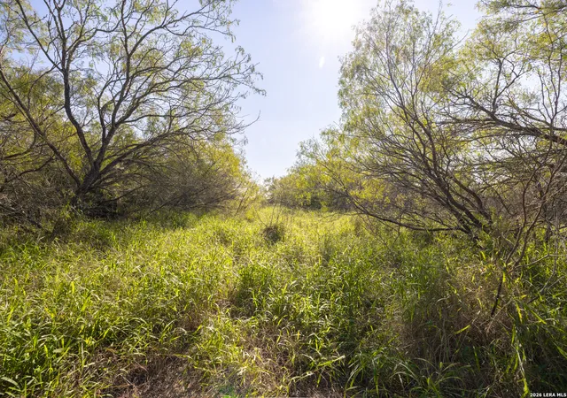 Photo 2 of Land for sale at 0 Fm 666 At County Road 1168, Mathis, TX 78368 | MLS# 1946471 | Listing updated on 2026-03-16