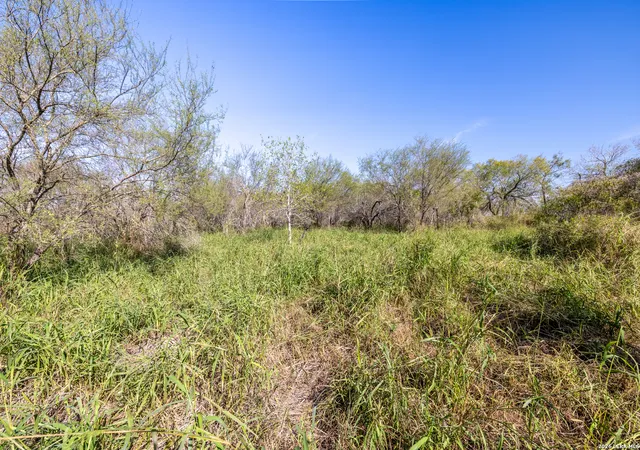 Photo 2 of House for sale at 0 Fm 666 At County Road 1168, Mathis, TX 78368 | MLS# 1946471 | Listing updated on 2026-03-16