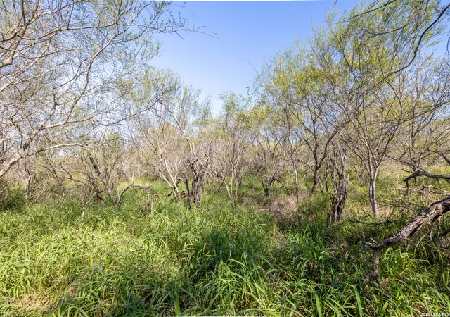 Photo 3 of House for sale at 0 Fm 666 At County Road 1168, Mathis, TX 78368 | MLS# 1946471 | Listing updated on 2026-03-16