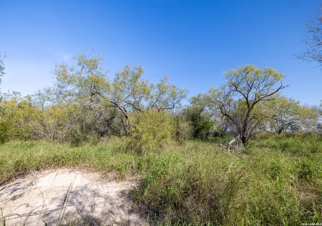 Photo 4 of House for sale at 0 Fm 666 At County Road 1168, Mathis, TX 78368 | MLS# 1946471 | Listing updated on 2026-03-16
