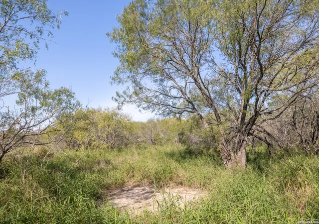 Photo 1 of Land for sale at 0 Fm 666 At County Road 1168, Mathis, TX 78368 | MLS# 1946471 | Listing updated on 2026-03-16