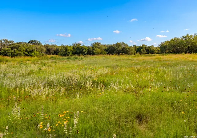 4th image of 3141 Zion Hill, Seguin, TX 78155 | MLS# 1946740