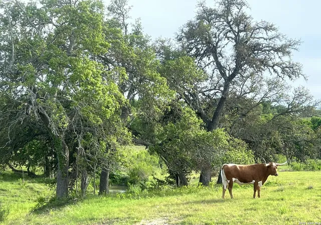 Photo 3 of Land for sale at 124 E Purple Sage, Blanco, TX 78606 | MLS# 1947422 | Listing updated on 2026-05-01