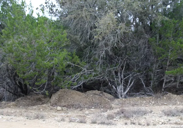 2nd image of 169 Red Bluff Dr, Pipe Creek, TX 78063 | MLS# 1947638