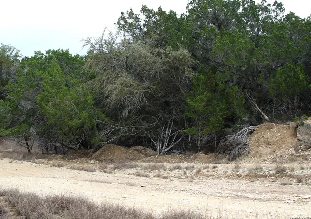 4th image of 169 Red Bluff Dr, Pipe Creek, TX 78063 | MLS# 1947638