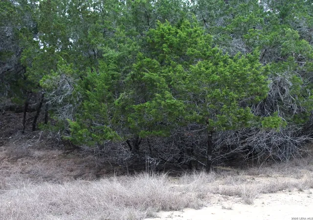 1st image of 169 Red Bluff Dr, Pipe Creek, TX 78063 | MLS# 1947638