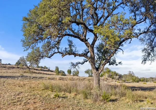 1st image of 885 Stanton, Johnson City, TX 78636 | MLS# 1947742