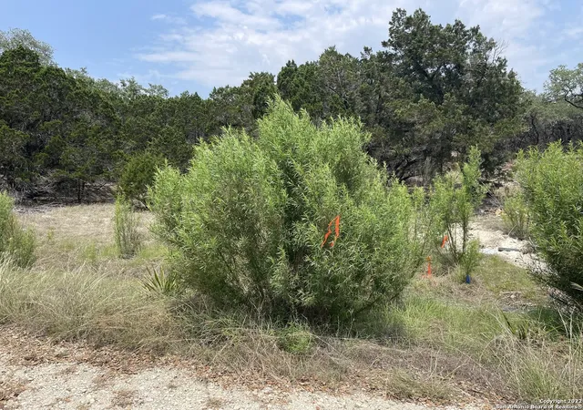 Photo 2 of Land for sale at 908 Serene, Spring Branch, TX 78070 | MLS# 1948102 | Listing updated on 2026-09-30