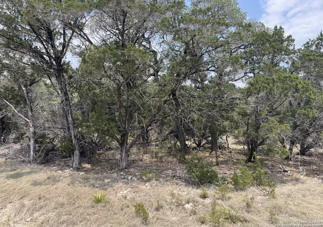 Photo 3 of Land for sale at 908 Serene, Spring Branch, TX 78070 | MLS# 1948102 | Listing updated on 2026-09-30