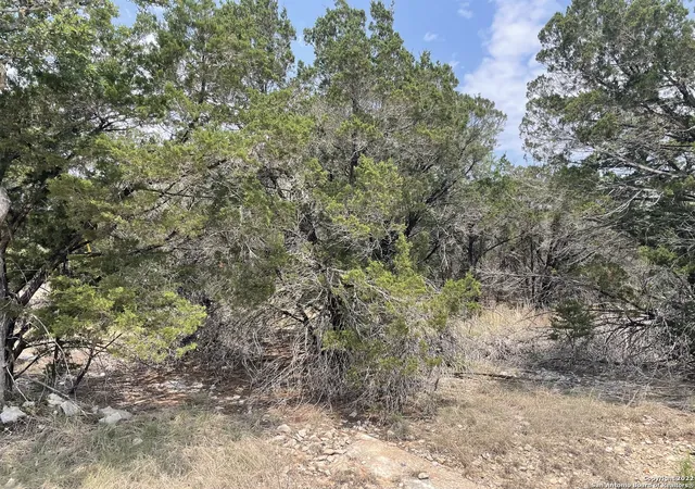 Photo 3 of Land for sale at 908 Serene, Spring Branch, TX 78070 | MLS# 1948102 | Listing updated on 2026-09-30
