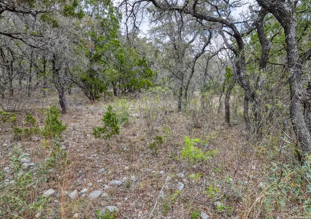 Photo 3 of Land for sale at 430 Frio Canyon, Concan, TX 78838 | MLS# 1948123 | Listing updated on 2026-03-22