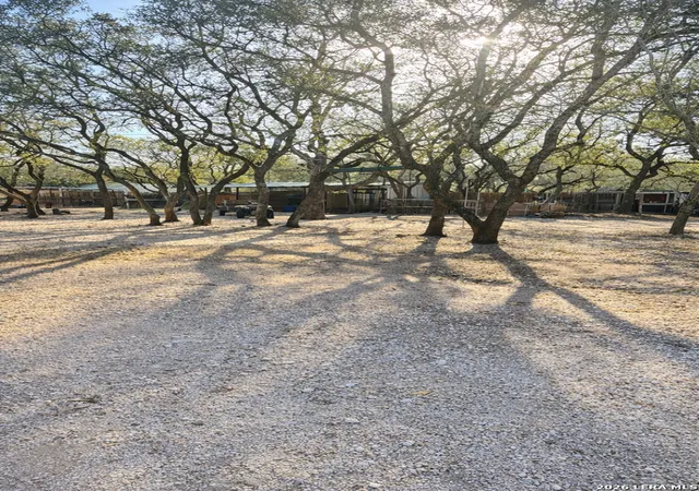 Photo 3 of Single family home for sale at 1375 Peaceful Ln, San Antonio, TX 78264 | MLS# 1948277 | Listing updated on 2026-04-15