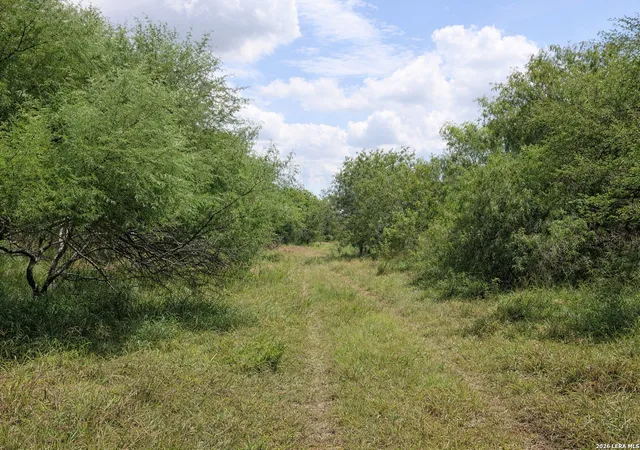 4th image of Tbd Zinnia Road, Lyford, TX 78580 | MLS# 1948378