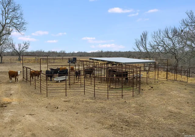 Photo 2 of Land for sale at 228 County Road 454, Stockdale, TX 78160 | MLS# 1948546 | Listing updated on 2026-03-23