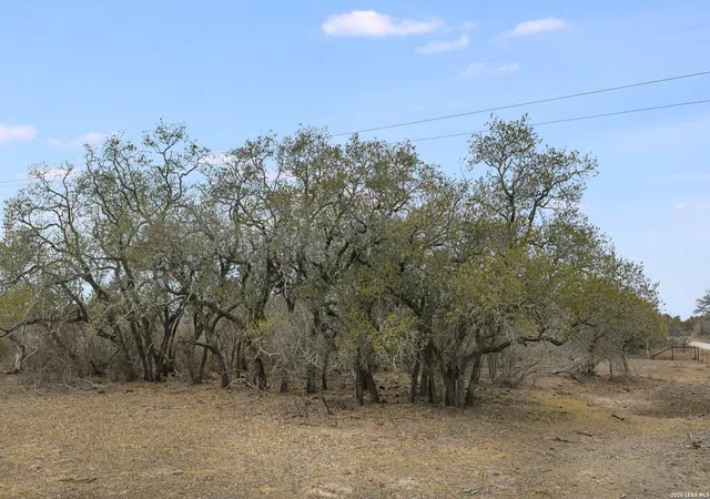 21st image of 000 County Road 454, Stockdale, TX 78160 | MLS# 1948568