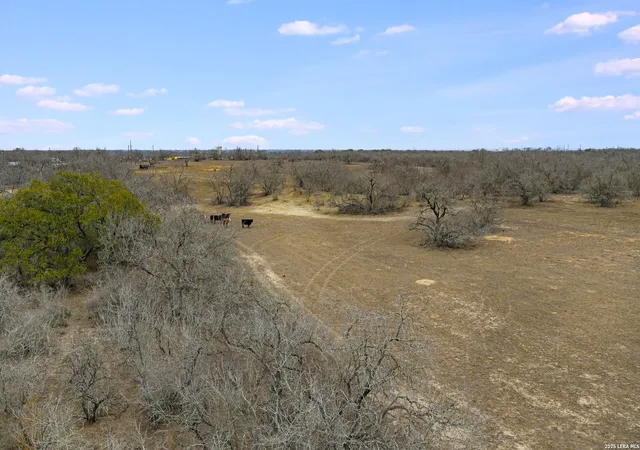 Photo 3 of Land for sale at 000 County Road 454, Stockdale, TX 78160 | MLS# 1948568 | Listing updated on 2026-06-02