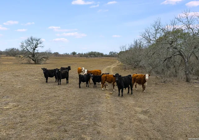 1st image of 000 County Road 454, Stockdale, TX 78160 | MLS# 1948568
