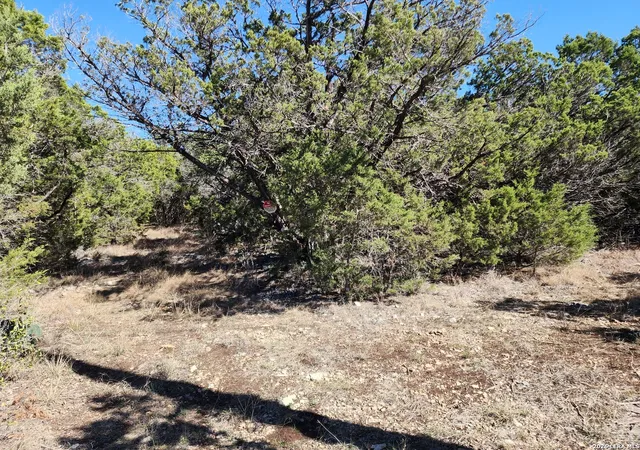 Photo 4 of Land for sale at 1951 Camino Alto, San Marcos, TX 78666 | MLS# 1948652 | Listing updated on 2026-09-18