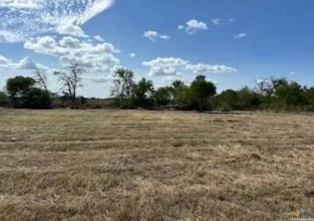 Photo 1 of Land for sale at 217 Twin Oaks, Floresville, TX 78114 | MLS# 1948868 | Listing updated on 2026-06-26