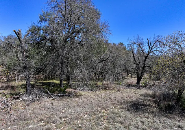 Photo 3 of Land for sale at 34776 High Gate, Bulverde, TX 78163 | MLS# 1949103 | Listing updated on 2026-03-26