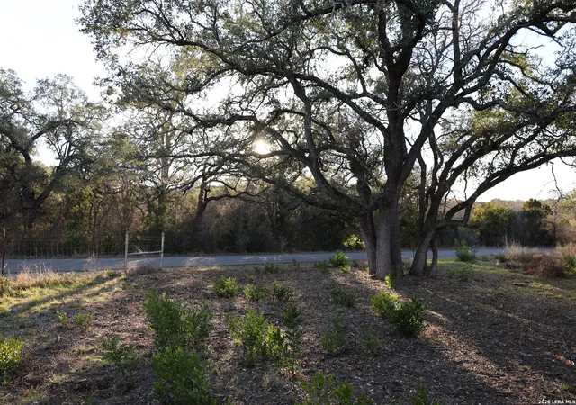 5th image of Tbd County Road 241, Hondo, TX 78861 | MLS# 1949243